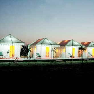 Royal Safari Camp- Bajana(30Km from Dasada), Dasada 4